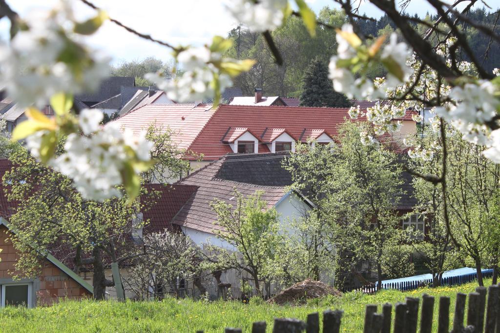 Penzion U Rudolfu Vlasenice ภายนอก รูปภาพ